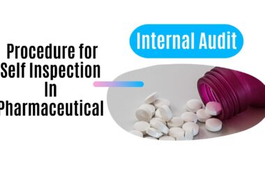 self -inspection in pharmaceutical industry