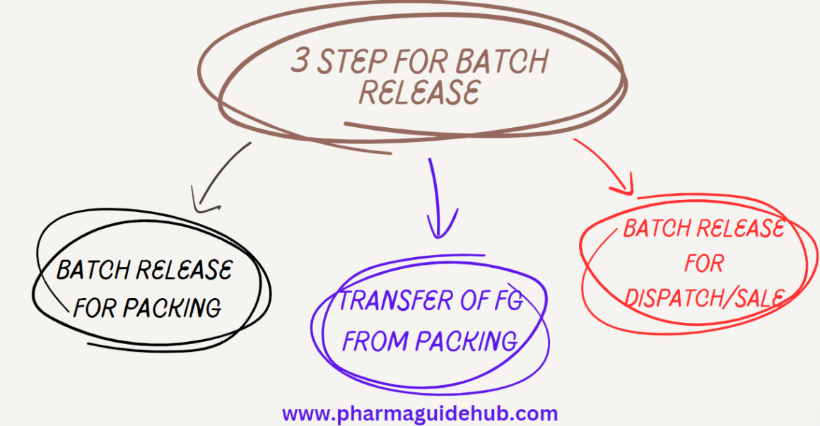 RELEASE OF BATCHES FOR PACKING AND SALE – PharmaGuideHub