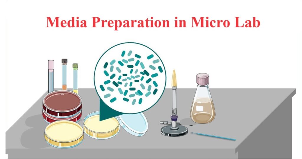 Media Preparation in Micro Lab