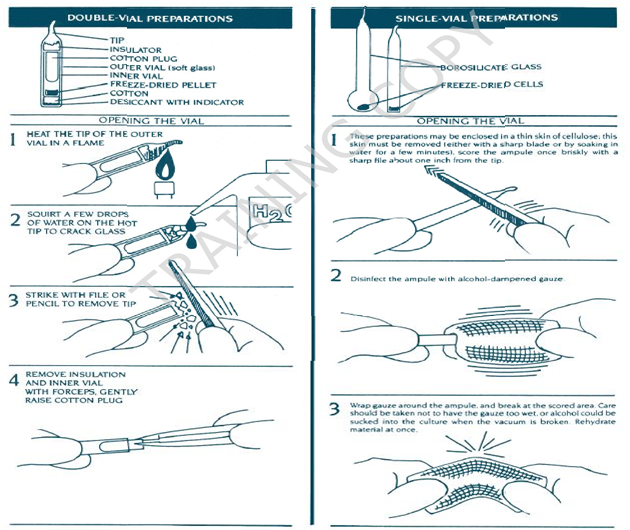 HANDLING OF LYOPHILIZED VIALS/AMPOULES