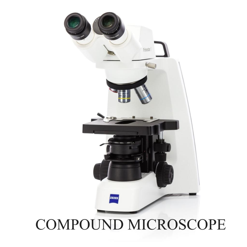 Compound Microscope