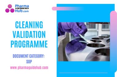 CLEANING VALIDATION PROGRAMME