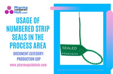 USAGE OF NUMBERED STRIP SEALS IN THE PROCESS AREA