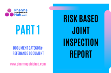 Risk Based Joint Inspection Report