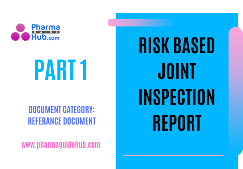 Risk Based Joint Inspection Report