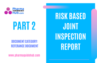 Risk Based Joint Inspection Report