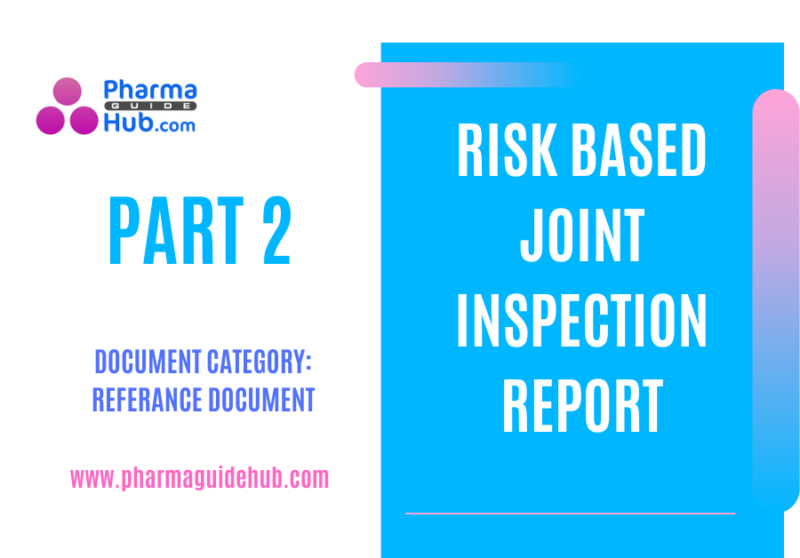 Risk Based Joint Inspection Report