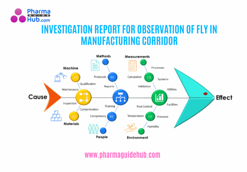INVESTIGATION REPORT FOR OBSERVATION OF FLY IN MANUFACTURING CORRIDOR