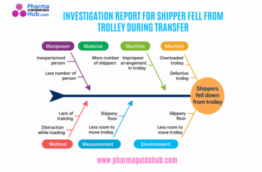 INVESTIGATION REPORT FOR SHIPPER FELL FROM TROLLEY DURING TRANSFER