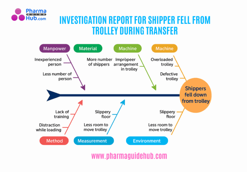 INVESTIGATION REPORT FOR SHIPPER FELL FROM TROLLEY DURING TRANSFER